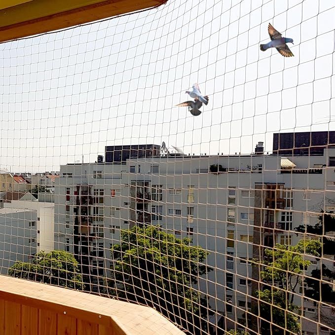Bird Safety Nets