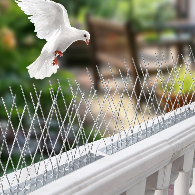 Building Safety Nets