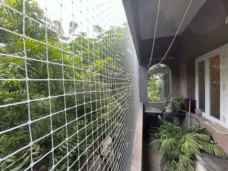Children Safety Nets
