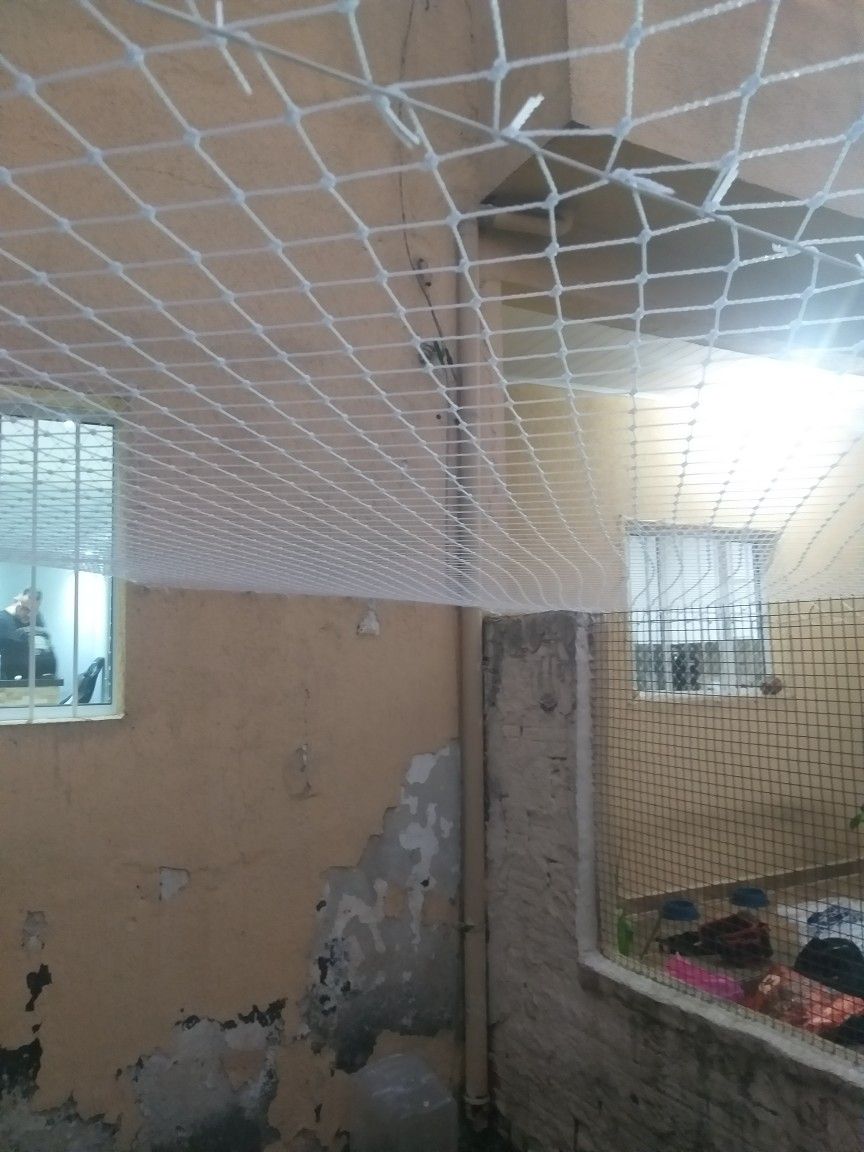 Duct Area Nets