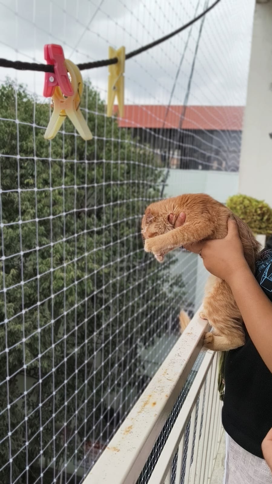 Balcony Safety Nets
