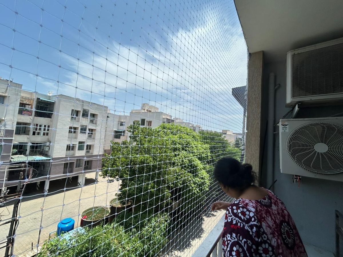 Monkey Safety Nets