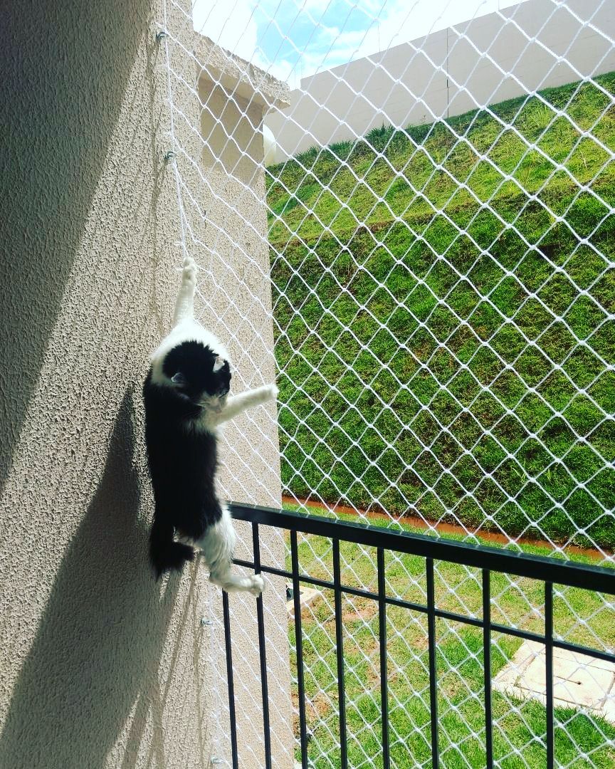 Pets Safety Nets